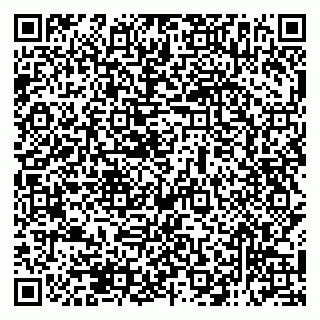 vCard 79138297345