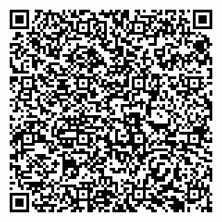vCard 79138298331