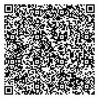 vCard 79138298628