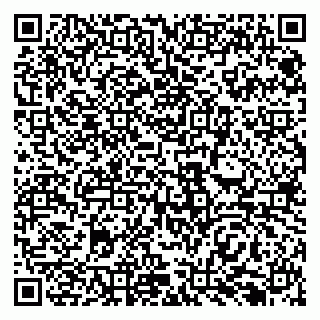 vCard 79138298633