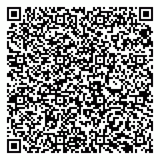 vCard 79138298741