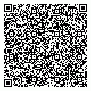 vCard 79138298745