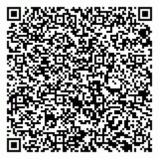 vCard 79138298751