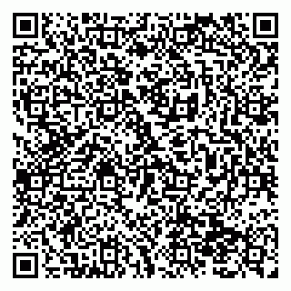 vCard 79138299000