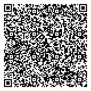 vCard 79138299001