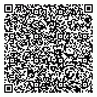 vCard 79138299003