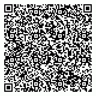 vCard 79138299010