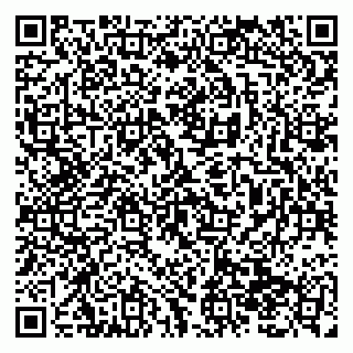 vCard 79138299011