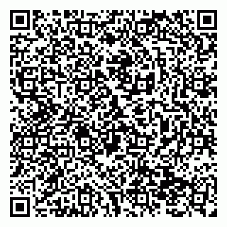 vCard 79138299013