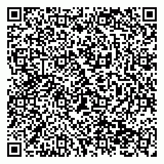 vCard 79138299015