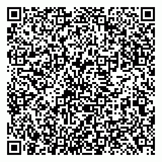 vCard 79138299017