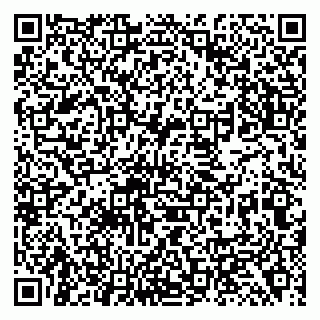 vCard 79138299018