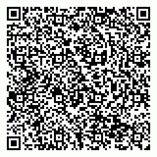 vCard 79138299028