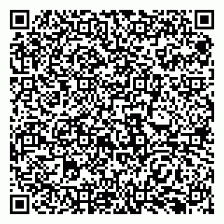 vCard 79138299031