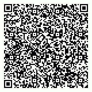 vCard 79138299043