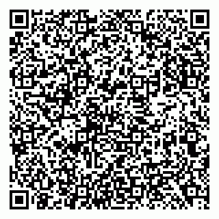 vCard 79138299046