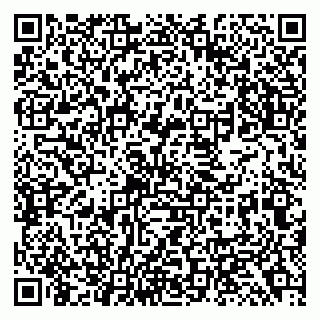 vCard 79138299053