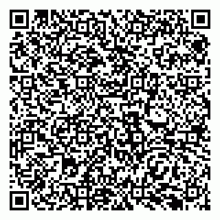 vCard 79138299054