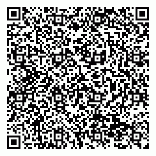 vCard 79138299069