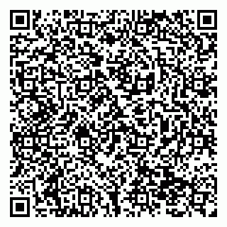 vCard 79138299073