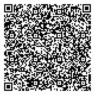 vCard 79138299074