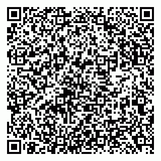 vCard 79138299076