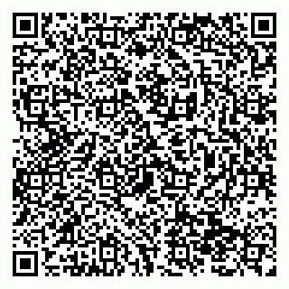 vCard 79138299077