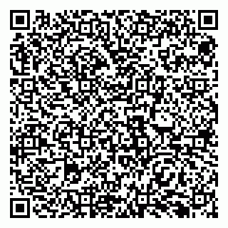 vCard 79138299078