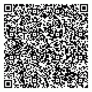 vCard 79138299079