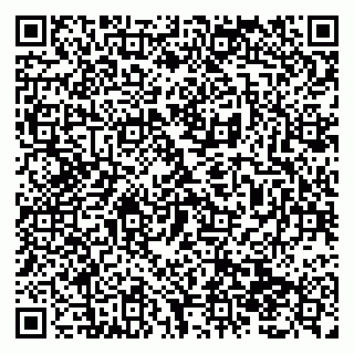 vCard 79138299084