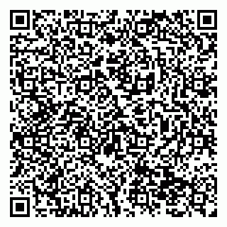 vCard 79138299085