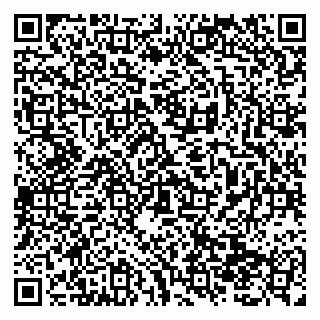 vCard 79138299093