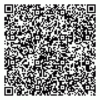 vCard 79138299094