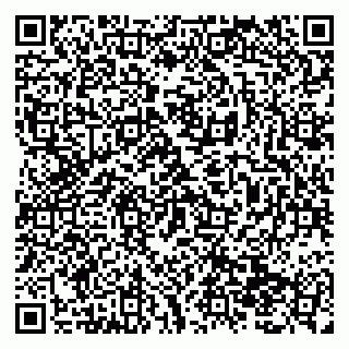 vCard 79138299096