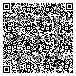 vCard 79138299097