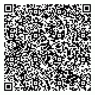 vCard 79138299100
