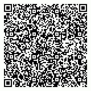 vCard 79138299104