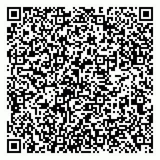 vCard 79138299111