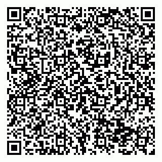 vCard 79138299131