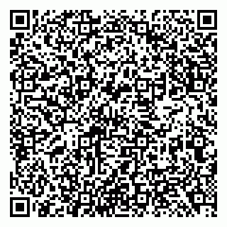 vCard 79138299136