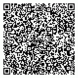 vCard 79138299138