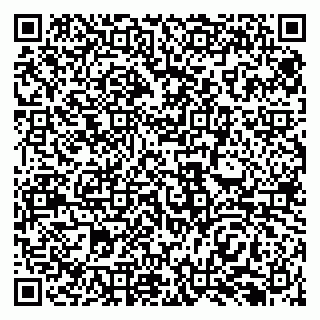 vCard 79138299145