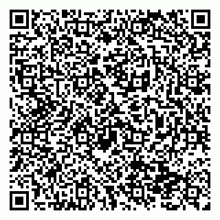 vCard 79138299162