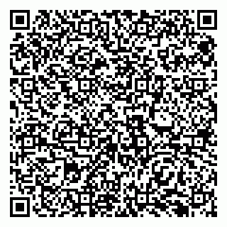 vCard 79138299171