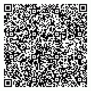 vCard 79138299173