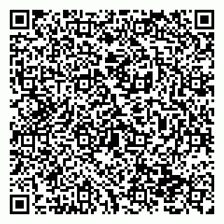 vCard 79138299174
