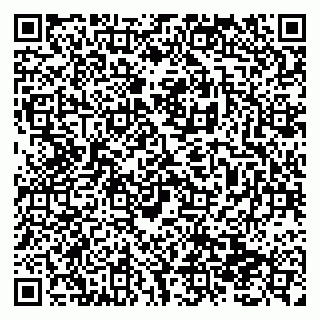 vCard 79138299176