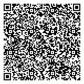 vCard 79138299185