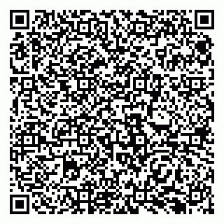 vCard 79138299197