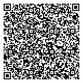 vCard 79138299200